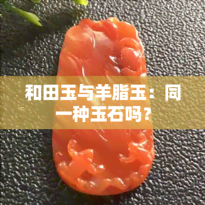 和田玉与羊脂玉：同一种玉石吗？