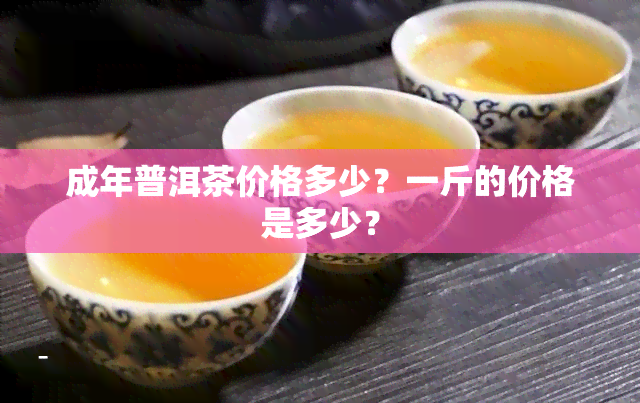 成年普洱茶价格多少？一斤的价格是多少？