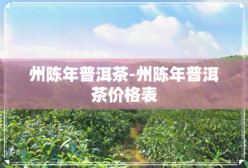 州陈年普洱茶-州陈年普洱茶价格表