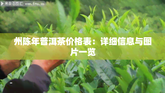 州陈年普洱茶价格表：详细信息与图片一览