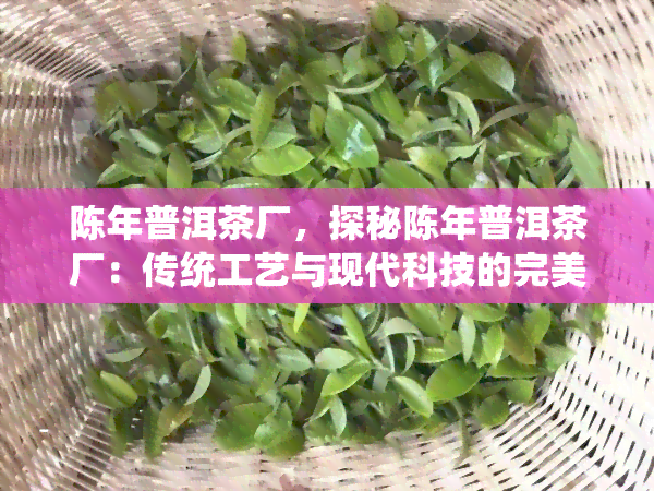 陈年普洱茶厂，探秘陈年普洱茶厂：传统工艺与现代科技的完美结合