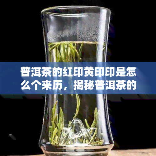 普洱茶的红印黄印印是怎么个来历，揭秘普洱茶的红印、黄印和印：来历与区别