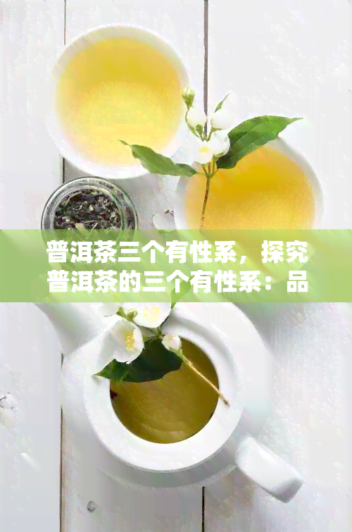 普洱茶三个有性系，探究普洱茶的三个有性系：品种、特点和制作工艺