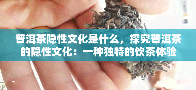 普洱茶隐性文化是什么，探究普洱茶的隐性文化：一种独特的饮茶体验