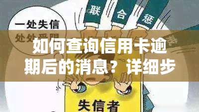 如何查询信用卡逾期后的消息？详细步骤一览