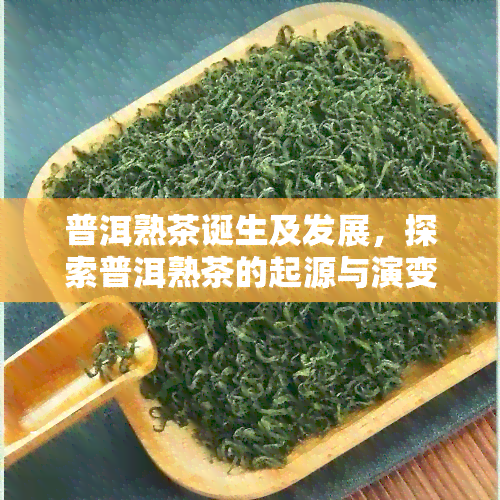 普洱熟茶诞生及发展，探索普洱熟茶的起源与演变：一部丰富多彩的历篇章