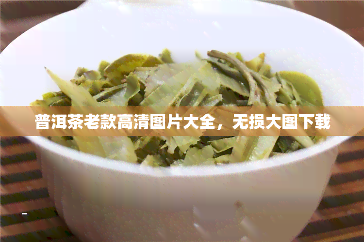 普洱茶老款高清图片大全，无损大图下载