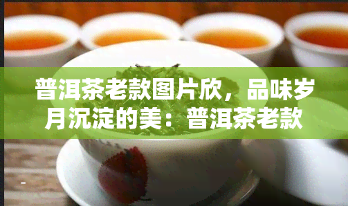 普洱茶老款图片欣，品味岁月沉淀的美：普洱茶老款图片欣