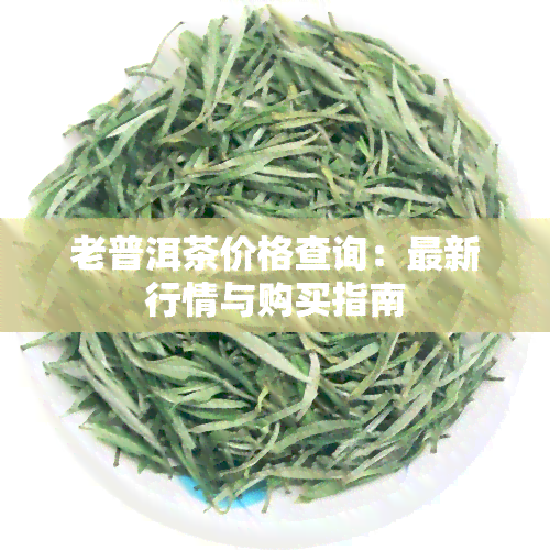 老普洱茶价格查询：最新行情与购买指南