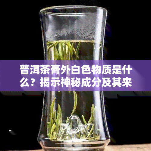 普洱茶膏外白色物质是什么？揭示神秘成分及其来源