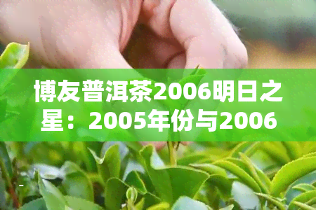 博友普洱茶2006明日之星：2005年份与2006年份生茶对比