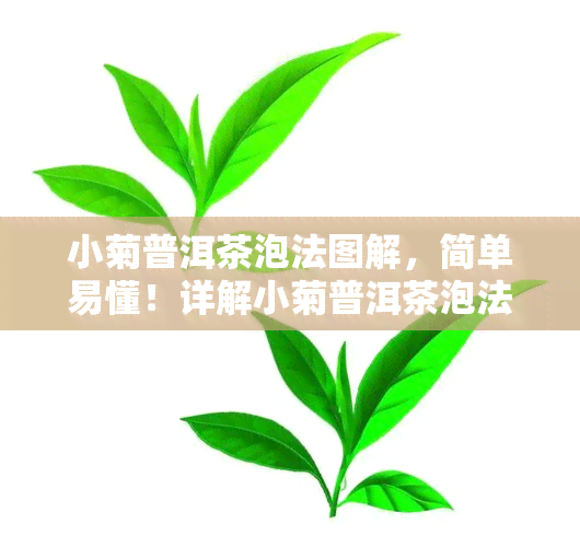 小菊普洱茶泡法图解，简单易懂！详解小菊普洱茶泡法步骤图解