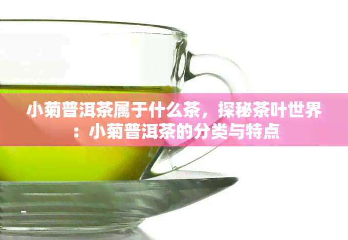 小菊普洱茶属于什么茶，探秘茶叶世界：小菊普洱茶的分类与特点