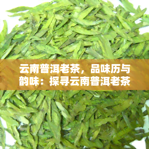 云南普洱老茶，品味历与韵味：探寻云南普洱老茶的魅力