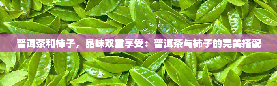 普洱茶和柿子，品味双重享受：普洱茶与柿子的完美搭配