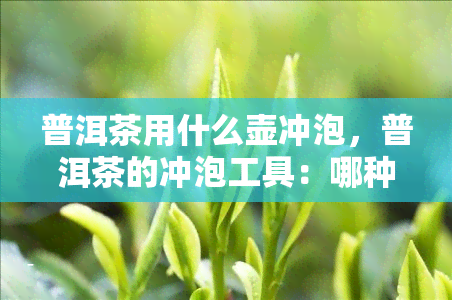 普洱茶用什么壶冲泡，普洱茶的冲泡工具：哪种壶最适合？