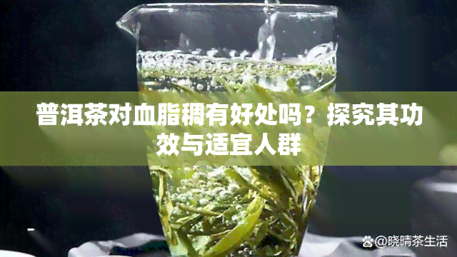 普洱茶对血脂稠有好处吗？探究其功效与适宜人群