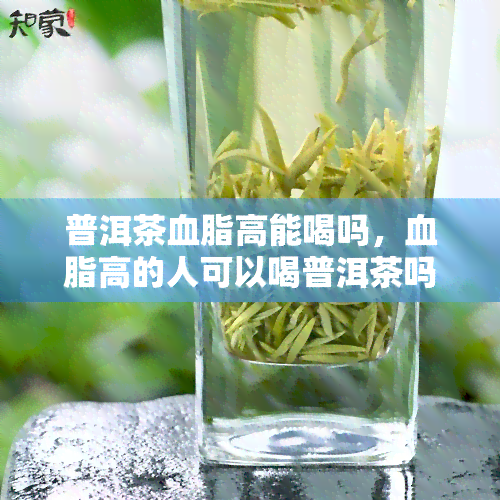 普洱茶血脂高能喝吗，血脂高的人可以喝普洱茶吗？