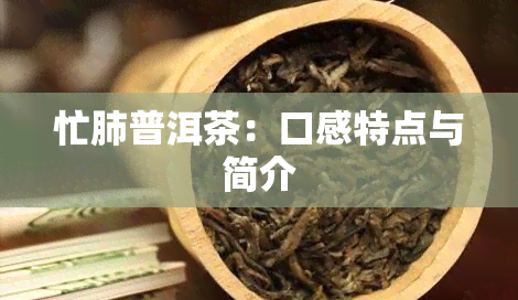 忙肺普洱茶：口感特点与简介