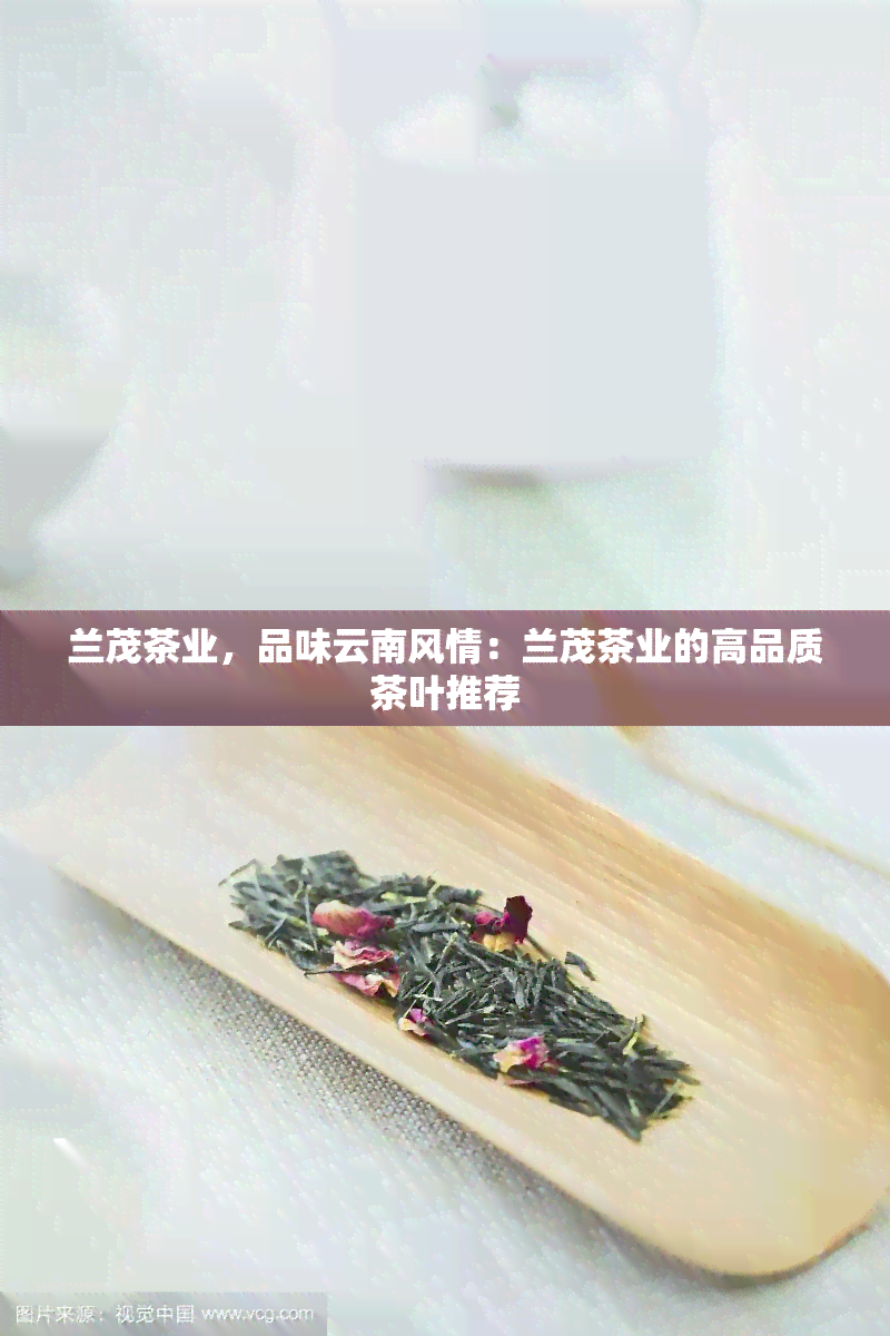 兰茂茶业，品味云南风情：兰茂茶业的高品质茶叶推荐