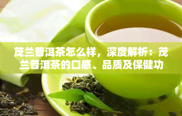 茂兰普洱茶怎么样，深度解析：茂兰普洱茶的口感、品质及保健功效