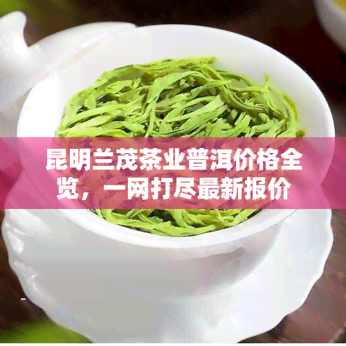 昆明兰茂茶业普洱价格全览，一网打尽最新报价