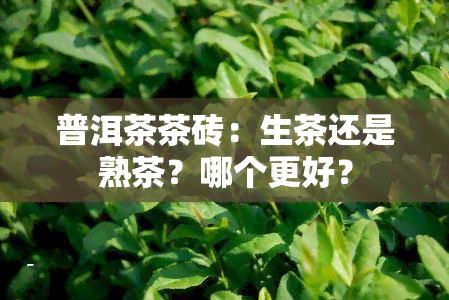 普洱茶茶砖：生茶还是熟茶？哪个更好？