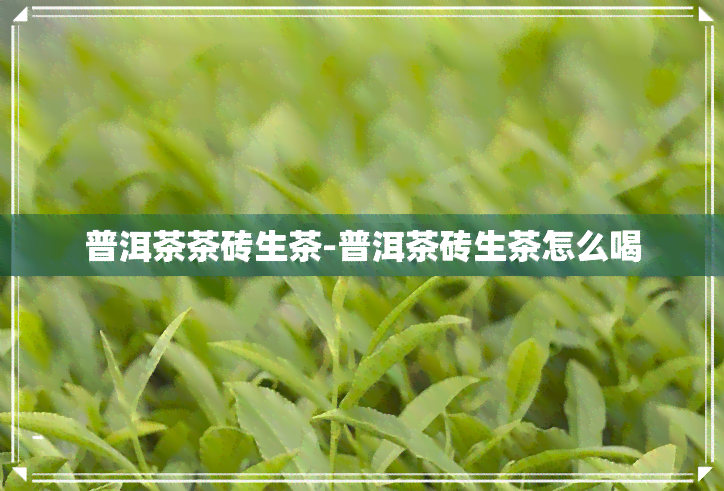 普洱茶茶砖生茶-普洱茶砖生茶怎么喝