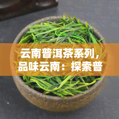 云南普洱茶系列，品味云南：探索普洱茶系列的世界