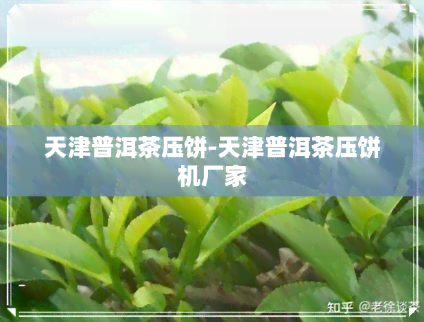 天津普洱茶压饼-天津普洱茶压饼机厂家