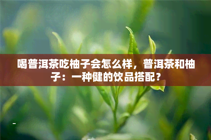 喝普洱茶吃柚子会怎么样，普洱茶和柚子：一种健的饮品搭配？