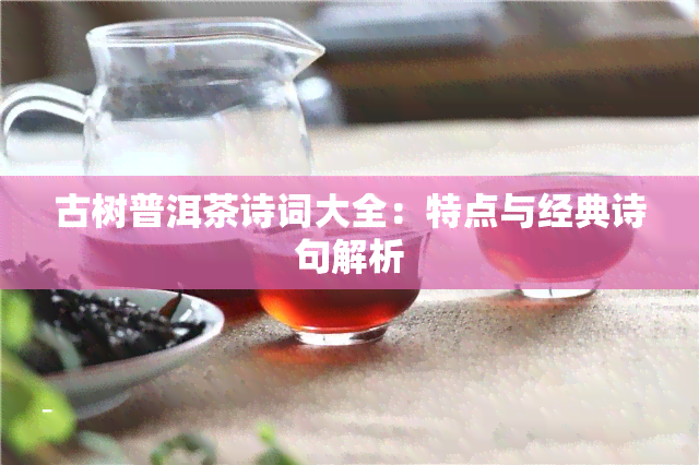 古树普洱茶诗词大全：特点与经典诗句解析