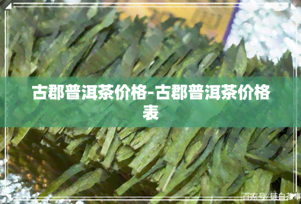 古郡普洱茶价格-古郡普洱茶价格表