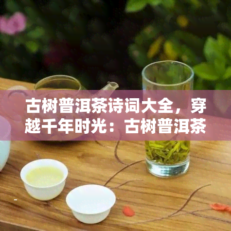 古树普洱茶诗词大全，穿越千年时光：古树普洱茶诗词大全