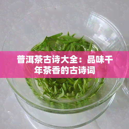 普洱茶古诗大全：品味千年茶香的古诗词