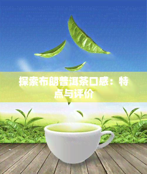 探索布朗普洱茶口感：特点与评价