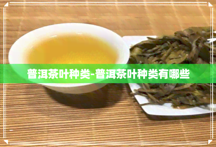 普洱茶叶种类-普洱茶叶种类有哪些