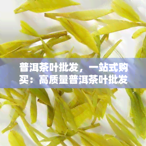 普洱茶叶批发，一站式购买：高质量普洱茶叶批发