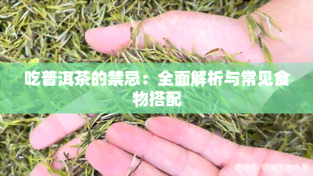 吃普洱茶的禁忌：全面解析与常见食物搭配