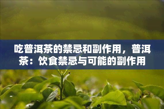 吃普洱茶的禁忌和副作用，普洱茶：饮食禁忌与可能的副作用