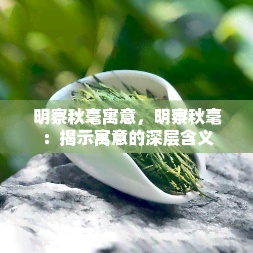 明察秋毫寓意，明察秋毫：揭示寓意的深层含义