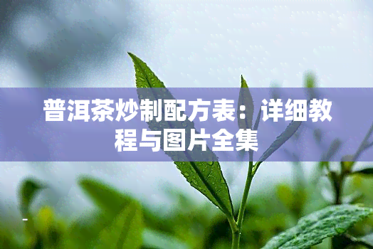 普洱茶炒制配方表：详细教程与图片全集