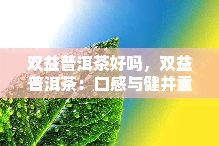 双益普洱茶好吗，双益普洱茶：口感与健并重的优质选择