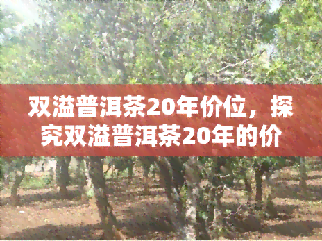 双溢普洱茶20年价位，探究双溢普洱茶20年的价格走势与市场表现