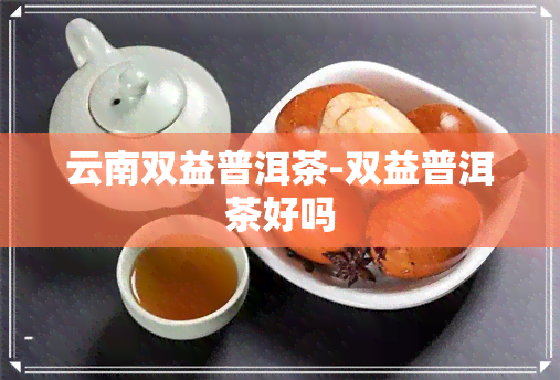 云南双益普洱茶-双益普洱茶好吗