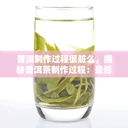 普洱制作过程很脏么，揭秘普洱茶制作过程：是否真的又脏又乱？