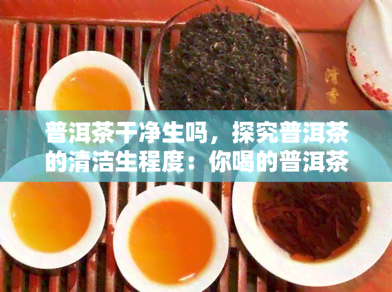 普洱茶干净生吗，探究普洱茶的清洁生程度：你喝的普洱茶真的干净吗？