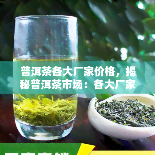 普洱茶各大厂家价格，揭秘普洱茶市场：各大厂家价格一览