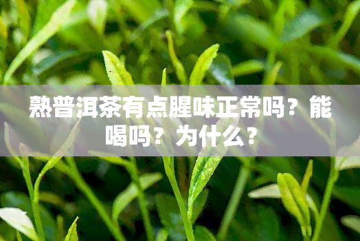 熟普洱茶有点腥味正常吗？能喝吗？为什么？