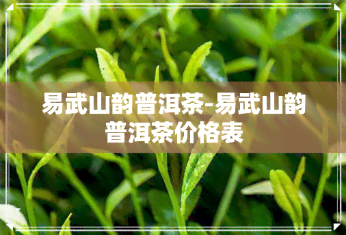 易武山韵普洱茶-易武山韵普洱茶价格表